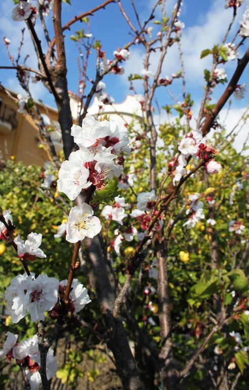 B&B Villa Olimpo Le Torri Agrigento Bagian luar foto